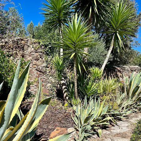 Casa Do Vale 알바이아세레