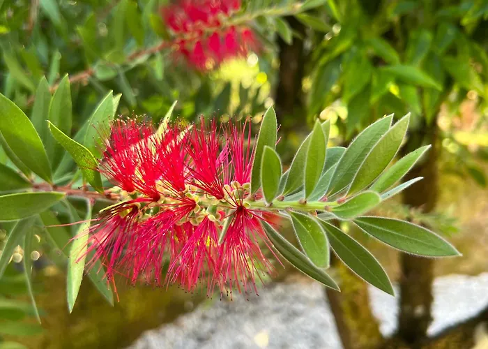 Casa Do Vale Prázdninový dům